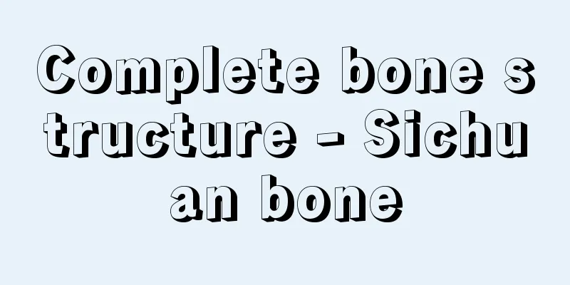 Complete bone structure - Sichuan bone