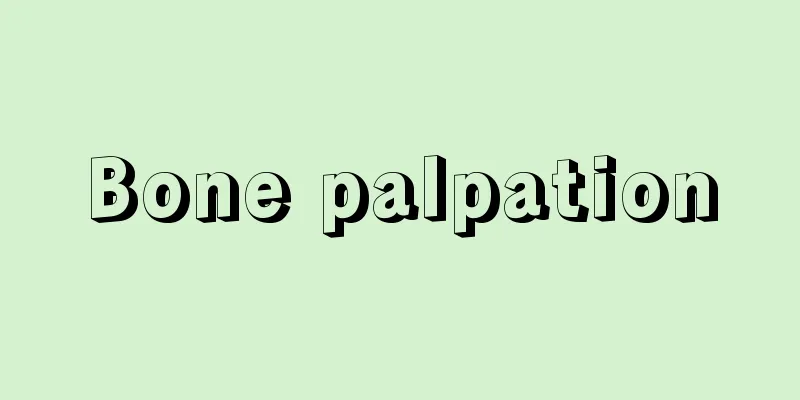 Bone palpation