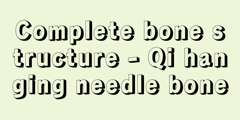 Complete bone structure - Qi hanging needle bone