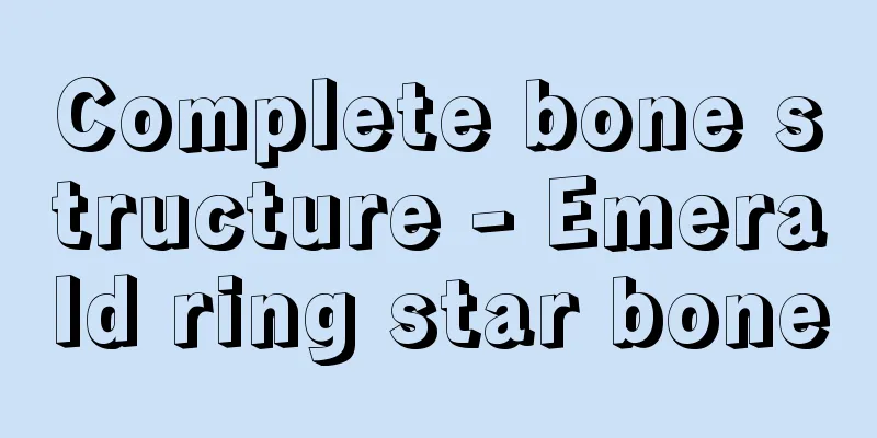 Complete bone structure - Emerald ring star bone