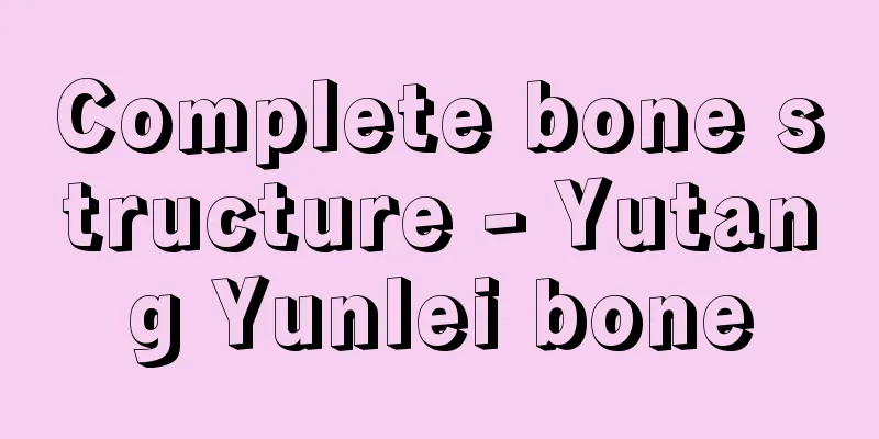 Complete bone structure - Yutang Yunlei bone