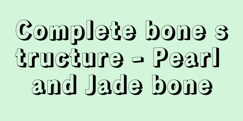 Complete bone structure - Pearl and Jade bone
