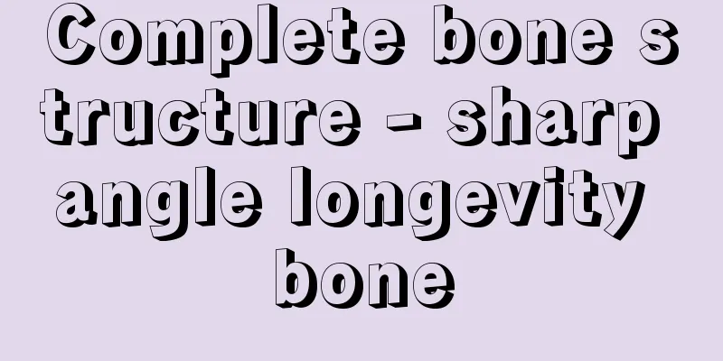 Complete bone structure - sharp angle longevity bone
