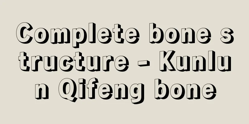 Complete bone structure - Kunlun Qifeng bone