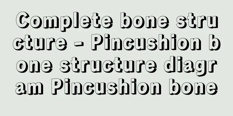 Complete bone structure - Pincushion bone structure diagram Pincushion bone