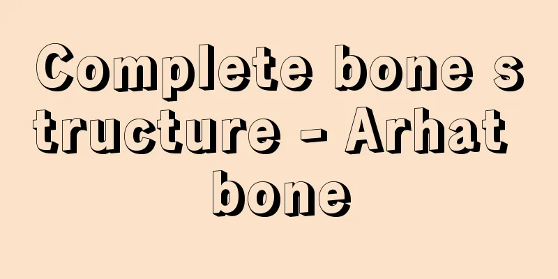 Complete bone structure - Arhat bone