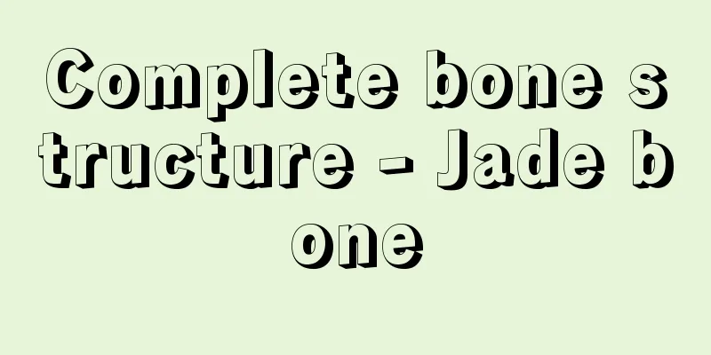 Complete bone structure - Jade bone