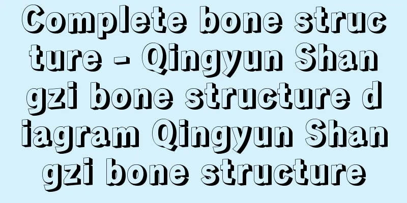 Complete bone structure - Qingyun Shangzi bone structure diagram Qingyun Shangzi bone structure