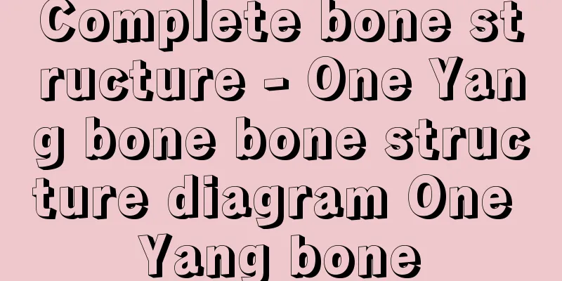 Complete bone structure - One Yang bone bone structure diagram One Yang bone