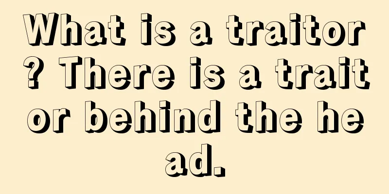 What is a traitor? There is a traitor behind the head.