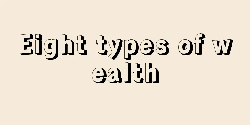 Eight types of wealth