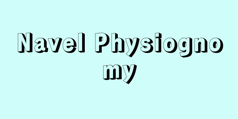 Navel Physiognomy