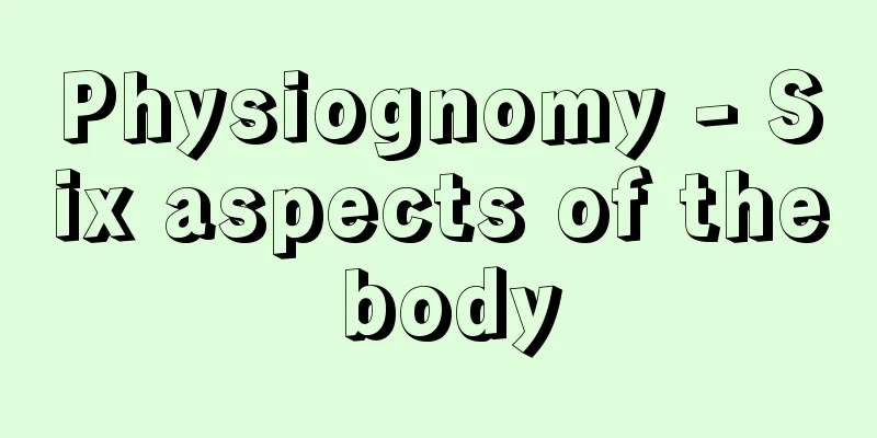 Physiognomy - Six aspects of the body