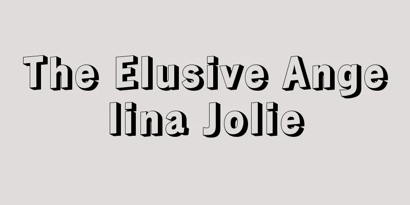 The Elusive Angelina Jolie