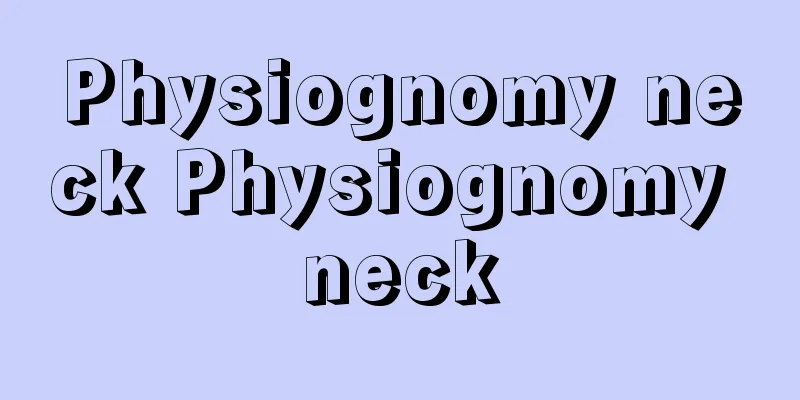 Physiognomy neck Physiognomy neck
