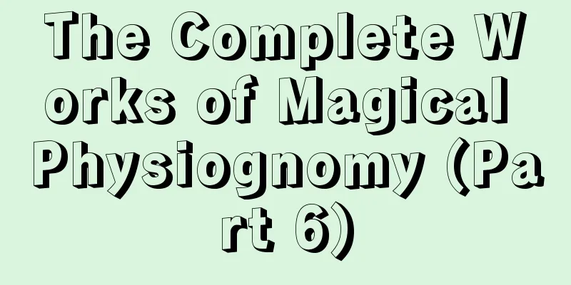 The Complete Works of Magical Physiognomy (Part 6)