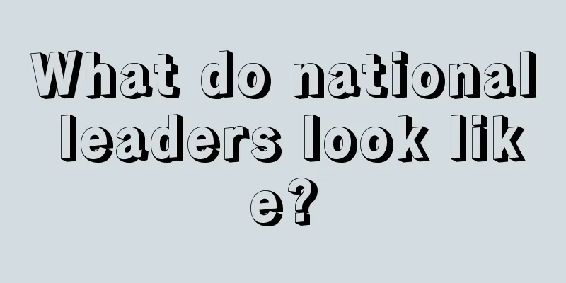 What do national leaders look like?