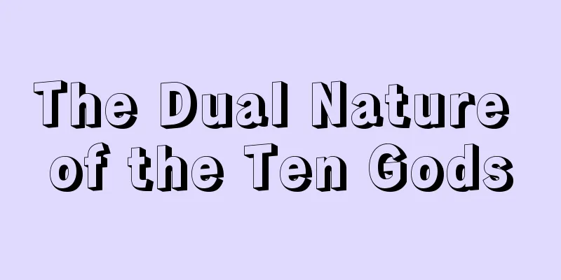 The Dual Nature of the Ten Gods