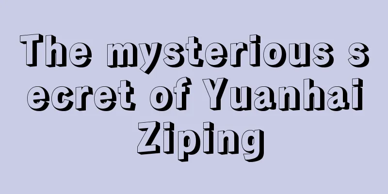 The mysterious secret of Yuanhai Ziping