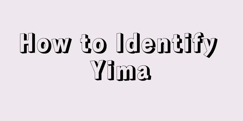 How to Identify Yima