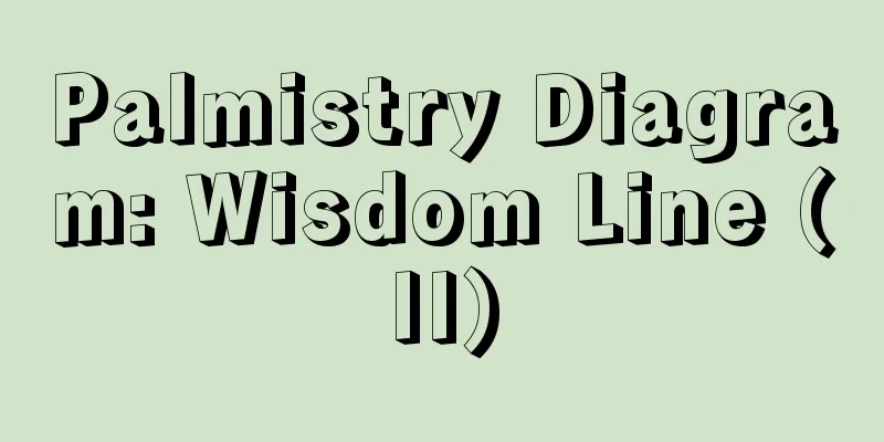 Palmistry Diagram: Wisdom Line (II)