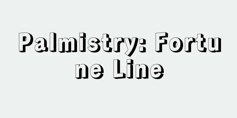 Palmistry: Fortune Line
