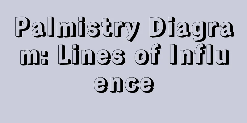 Palmistry Diagram: Lines of Influence