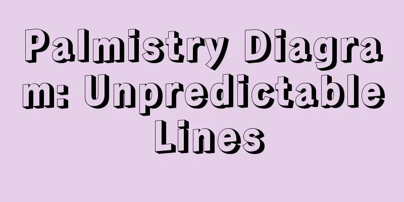 Palmistry Diagram: Unpredictable Lines