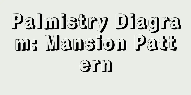 Palmistry Diagram: Mansion Pattern