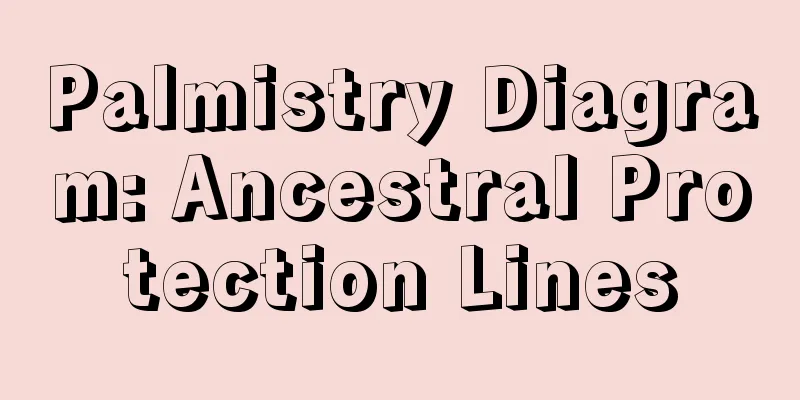 Palmistry Diagram: Ancestral Protection Lines
