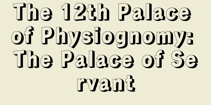 The 12th Palace of Physiognomy: The Palace of Servant