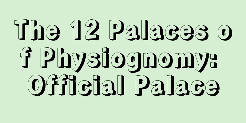 The 12 Palaces of Physiognomy: Official Palace