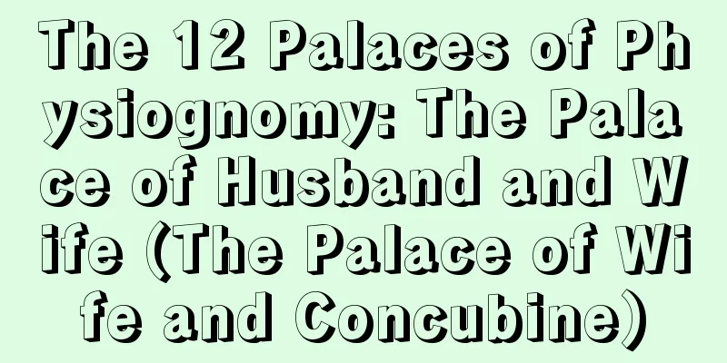 The 12 Palaces of Physiognomy: The Palace of Husband and Wife (The Palace of Wife and Concubine)
