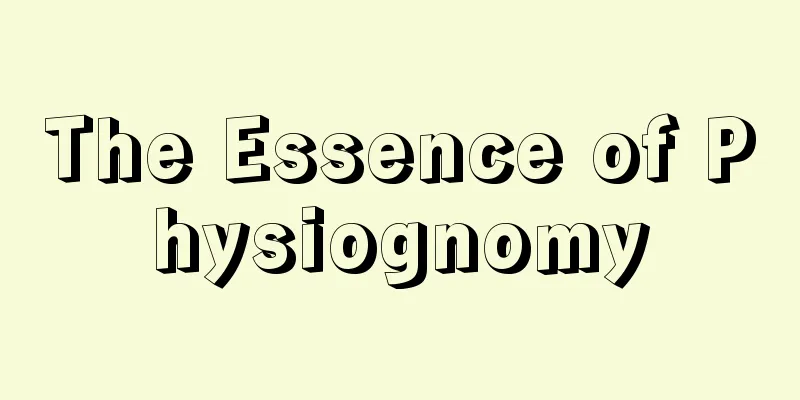 The Essence of Physiognomy