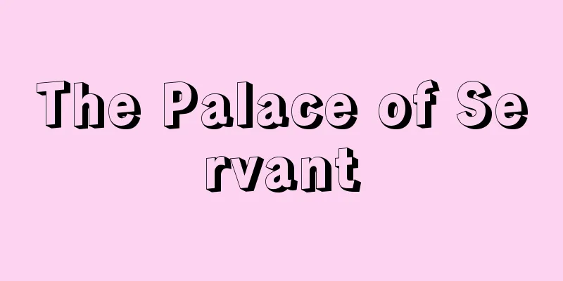 The Palace of Servant