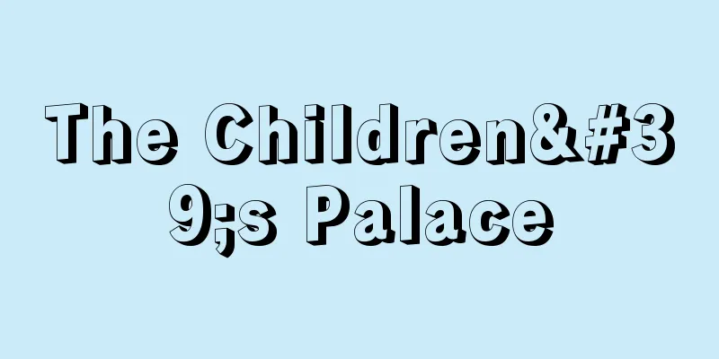 The Children's Palace