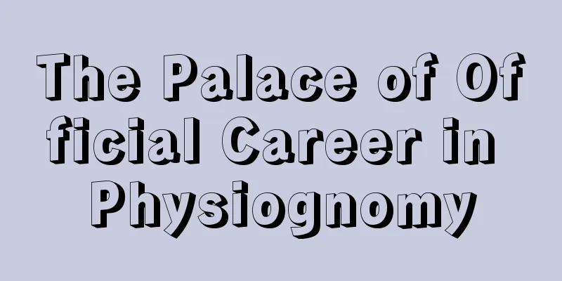 The Palace of Official Career in Physiognomy