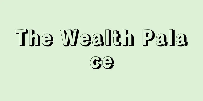 The Wealth Palace