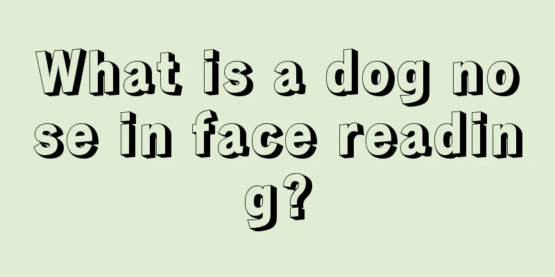 What is a dog nose in face reading?