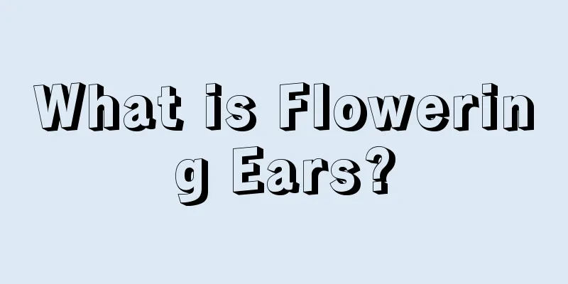 What is Flowering Ears?