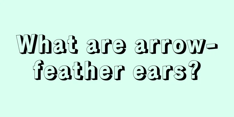 What are arrow-feather ears?