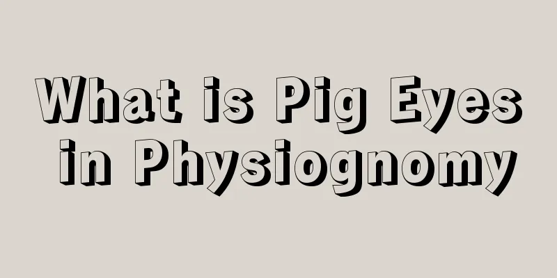 What is Pig Eyes in Physiognomy