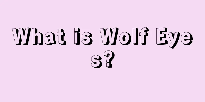 What is Wolf Eyes?