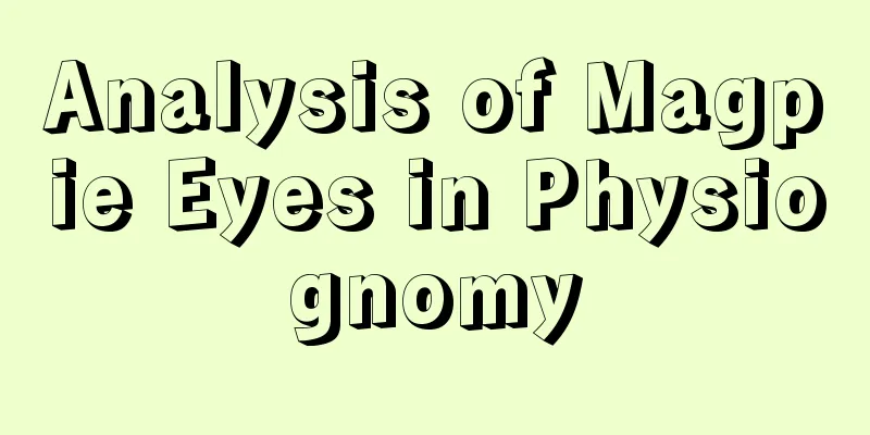 Analysis of Magpie Eyes in Physiognomy