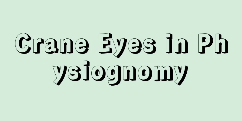 Crane Eyes in Physiognomy