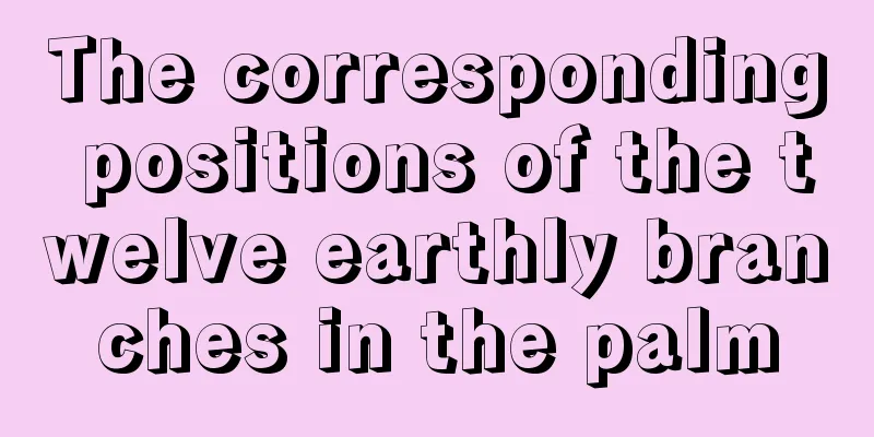 The corresponding positions of the twelve earthly branches in the palm