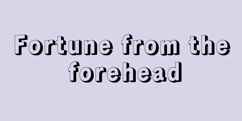 Fortune from the forehead