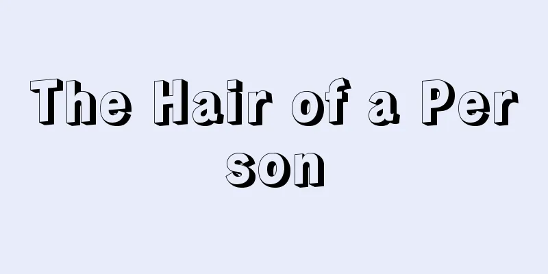 The Hair of a Person