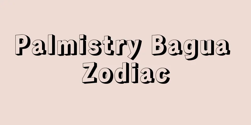 Palmistry Bagua Zodiac