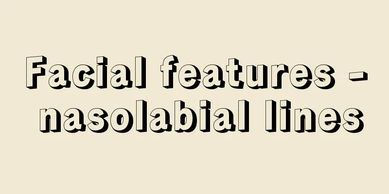 Facial features - nasolabial lines